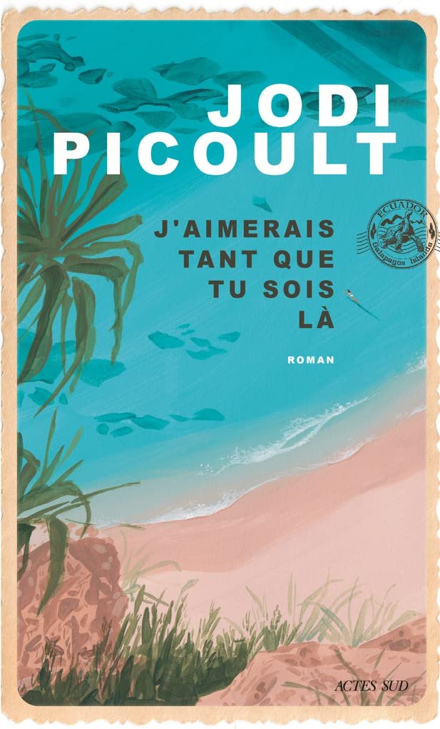 Jodi Picoult – J’aimerais tant que tu sois là