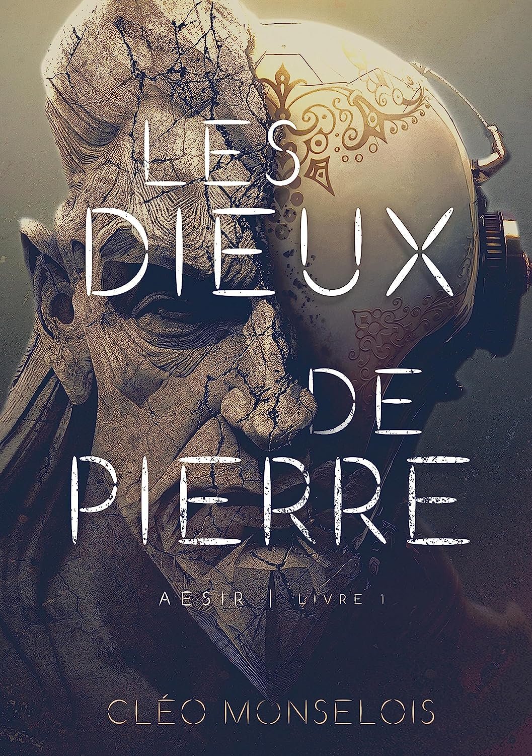 Cléo Monselois - Les Dieux de Pierre: Aesir - Livre 1