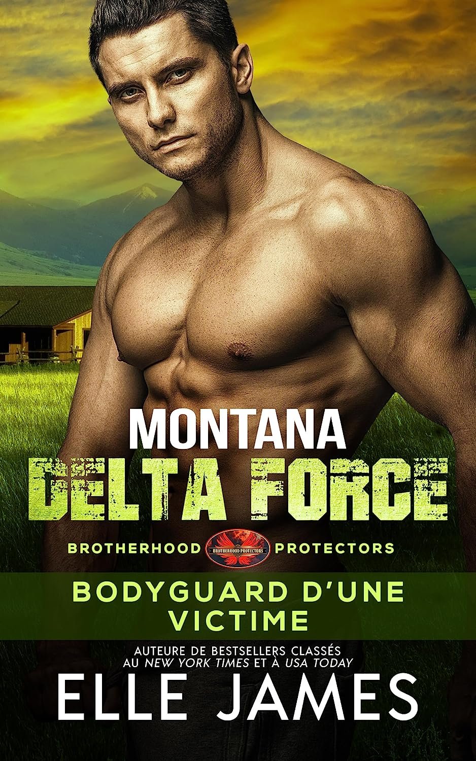 Elle James - Brotherhood Protectors, Tome 3 : Montana Delta Force : Bodyguard d'une victime