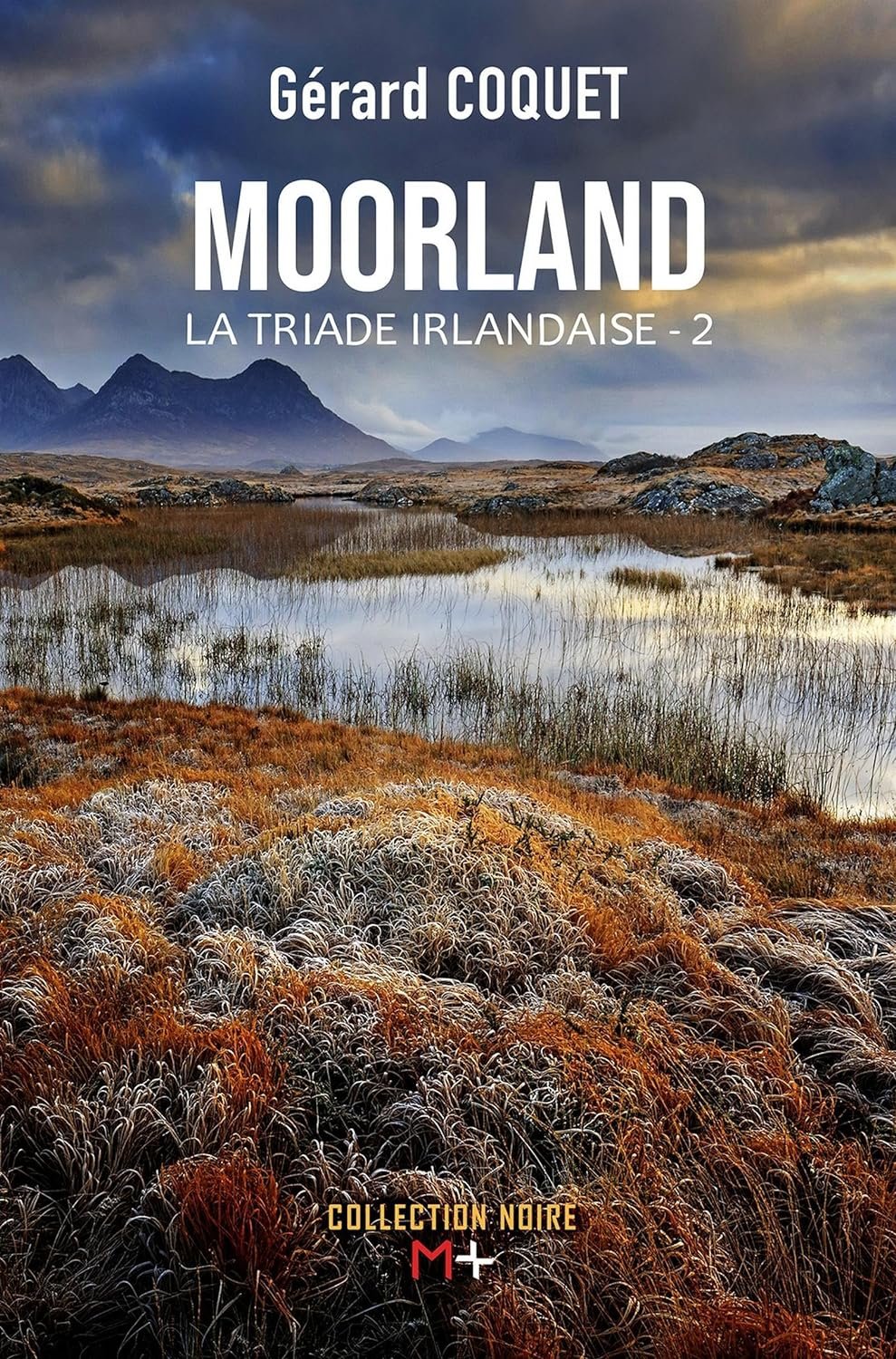 Gérard Coquet - Moorland