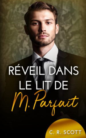 C. R. Scott – Romance au bureau, Tome 1 : Réveil dans le lit de M. Parfait