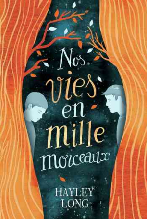 Hayley Long – Nos vies en mille morceaux