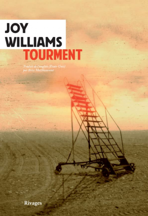 Joy Williams – Tourment