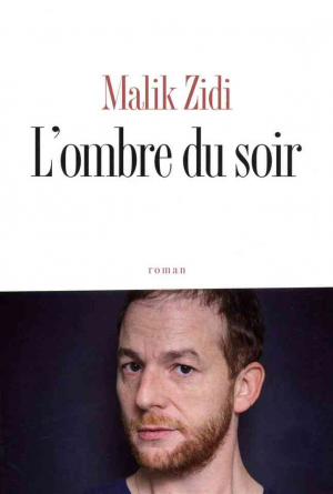 Malik Zidi – L’ombre du soir