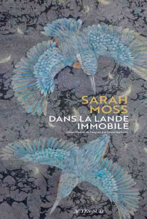 Sarah Moss – Dans la lande immobile