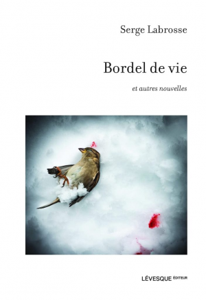 Serge Labrosse – Bordel de vie