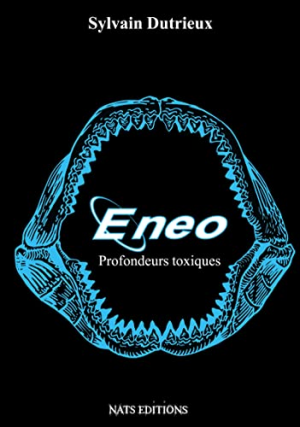 Sylvain Dutrieux – Eneo