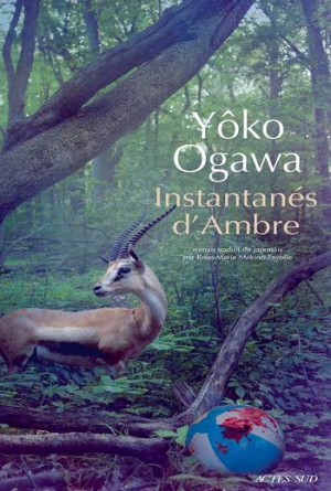 Yôko Ogawa – Instantanés d’Ambre